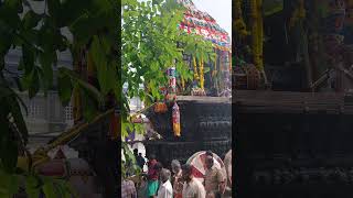 Tenkasi Kasi viswanathar temple Therottam-4