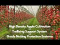 High Density Apple Cultivation with Trellising Support System and Shade Netting Protection Systems