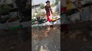 Sunday రోజు క్లీనింగ్ పని చేసాము నేను మా కన్నయ్య❤️#YouTube# video#viral short#my gardening#🧹cleaning