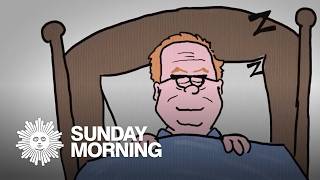 Why it's important to sleep, nap and be lazy (sometimes)