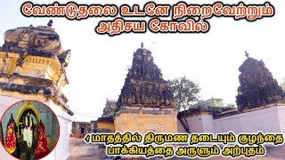 1 மாதத்தில் திருமண தடை குழந்தை பாக்கியத்தை அருளும் பெருமாள் கோவில் | Varatharaja Perumal | Anniyur