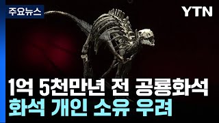 유럽 공룡화석 경매 화제...1억 5천만 년 전 초식공룡 / YTN