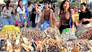 AMAZING! Cambodian Street Food Vlog on Big Festival - Thriving Street Food Scenes You Can’t Miss!