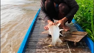 TÂM67VLOG= Nay dẫn thổ địa đi câu dính được cá khủng #fishing