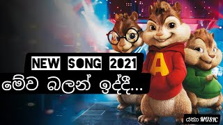 මේව බලන් ඉද්දී SONG...✌️✌️✌️