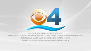 CBS Miami Live Stream