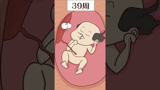 孩子在肚子里还会过期？preterm infant