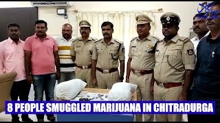 Huge cache of marijuana seized in Chitradurga, 8 apprehended