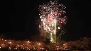 2014 観桜会 高田公園 オープニングを彩る花火 「angle shot 2」 Takada Castle＆Cherry Blossoms＆Fireworks