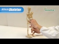 science4you uk 3d wooden puzzle skeleton