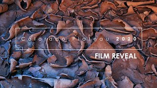 Colorado Plateau Summer 2020: Film Reveal