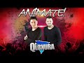 05 me duele tu nombre q lokura animate