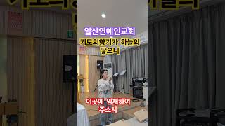 일산연예인교회 기도의 향기가 하늘의닿으니 이곳의 임재하여주소서