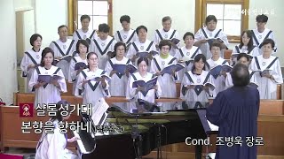 8월 20일 성가대찬양  l  본향을 향하네(김두완)