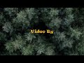 curtisy tree sap official music video