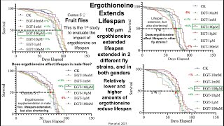 Ergothioneine Extends Lifespan (in flies)