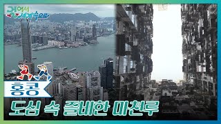 도심 속 높다란 마천루가 즐비한 홍콩 [걸어서 세계속으로] | KBS 241116 방송