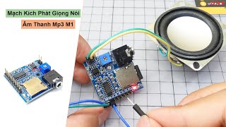 Mạch Kích Phát Giọng Nói Âm Thanh Mp3 M1| Điện tử DAT