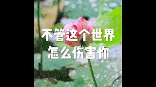 201506 不管这个世界怎么伤害你21989