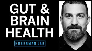 How to Enhance Your Gut Microbiome for Brain & Overall Health | Huberman Lab Pod