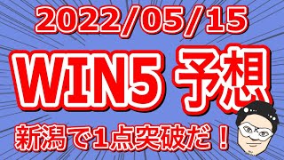 【WIN5予想】新潟で1点突破だ！【競馬予想】