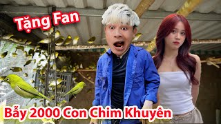 Hậu Cáo - Bẫy Hơn 2000 Con Chim Vành Khuyên Tặng Fan Và Thả Phóng Sinh