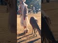 鹿に軽く触れ喜ぶ観光客🫎nara park