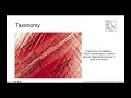 histophilus and glaesserella part 1 veterinary bacteriology and mycology