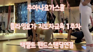 주아나요가스쿨 플라잉요가 지도자교육 1주차 백밸트 핸드스탠딩연결