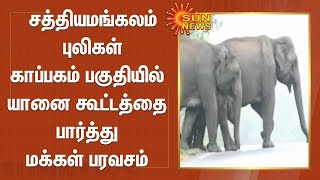 சத்தியமங்கலம் புலிகள் காப்பகம் பகுதியில் யானை கூட்டத்தை பார்த்து மக்கள் பரவசம் | Sathyamangalam