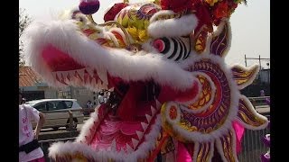 天后誕會景巡遊Dragon Dance@元朗