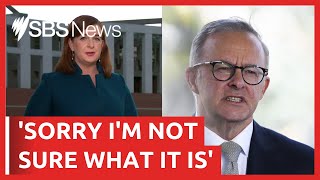 Anthony Albanese apologises for campaign blunder | SBS News