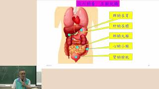 華陀智慧 解析-游朱義老師薪傳古典醫學-10從六腑看五臟