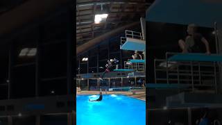 #splashdiving #sindelfingen #5m #tower #board #session #not #so #sync