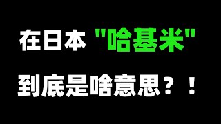 在日本“哈基米“到底是啥意思？