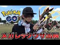 【ポケモンGO】メガレックウザ出現！色違いも大量！海外限定ポケモンもGET！何だこの神イベントは！