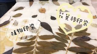 🍂落葉繽紛-Eco Print 植物印染,Printing with Plants、植物移染、花葉移印染