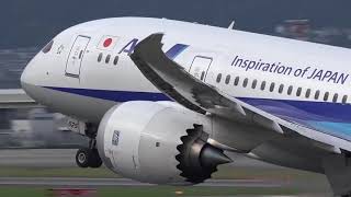 Top 10 Best Airlines in the World 2019 Video