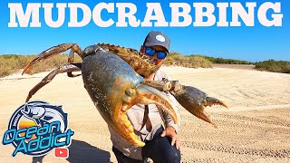 Ocean Addict Ep 44 - Rare Blue Mud Crab find exploring a remote coastal Lagoon