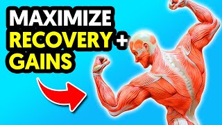 12 Proven Tips That Will Maximise Muscle Recovery + Gains