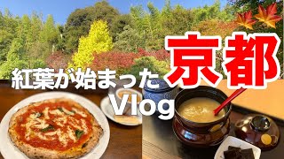 京都Vlog🍁紅葉シーズン到来！京都街ブラで見つけた絶品ランチ＆秋限定スイーツ