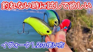 イヴォーク1.2のおかっぱりでの使い方【春バス釣り】