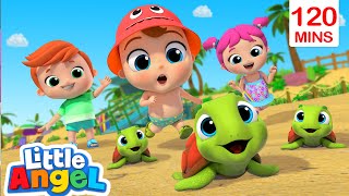 Beach Day Song (Turtle Rescue) | Play Safe Outdoor | Little Angel Kids Nursery Rhymes