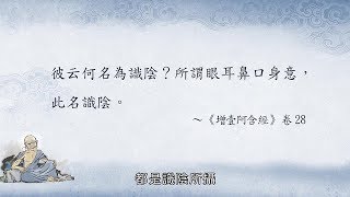 阿含正義(一) 080 識陰的定義