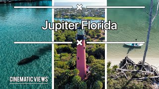 Jupiter, Florida - Aerial Footage | Sharks | Manatees & Dolphins