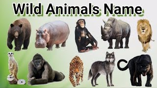 Wild animals | जंगली जानवरों के नाम | wild animals for kids | wild animals name | aajad kids |