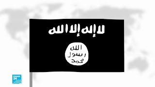 What is the Islamic state group?