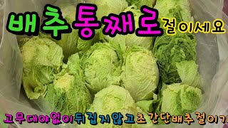 배추 통째로 절이기 1탄=아래 링크로 들어오시면  위영상의보완점 영상을 볼 수 있습니다(https://youtu.be/Y5wtBvZwH28)