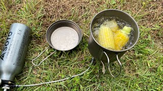 畑でトウモロコシ収穫！でも美味しくなるとこうして動物が食べてしまうのですが仕方ないね。