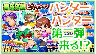 サクスぺ　育成応援ピックアップ引くべきか？　ハンター×ハンター第2弾来る！？